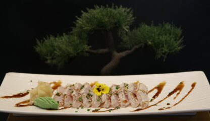 Tataki maigre