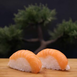 Nigiri sauon 10 pièces