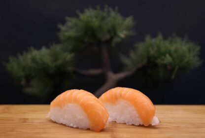 Nigiri sauon 10 pièces